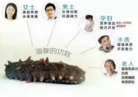 護具